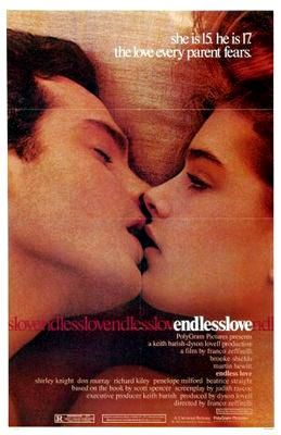 Amor sin fin 955102787 large - Amor sin Fin DVDrip Español (1981) Drama-Romantico