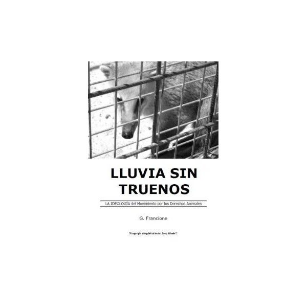 lluvia sin truenos - Lluvia sin Truenos