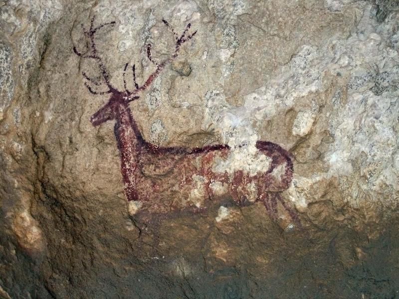 user 1422 ciervo chimiachas - Arte rupestre andaluz Dvdrip Español