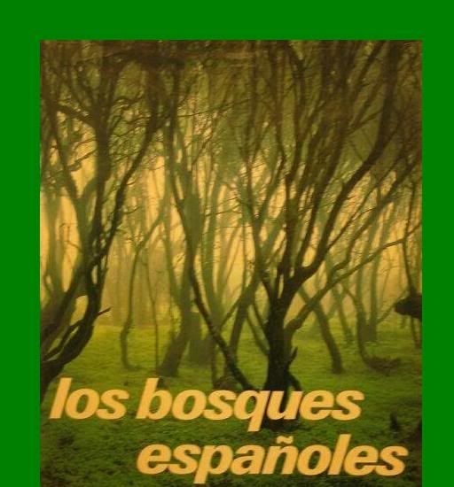 NuevoImagendemapadebits 67 - Bosques Españoles Dvdrip Español (6/6)