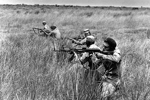 7341405 - La epopeya de Angola. La Batalla de Cabinda