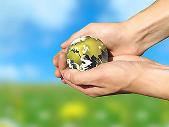 ayudas ecologico - La lógica de lo Ecológico
