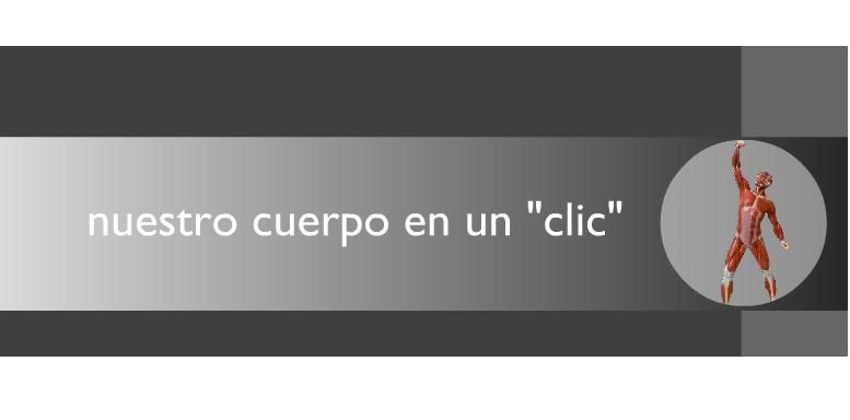 cuerpo - Nuestro cuerpo en un "clic" (Pc Interactivo)
