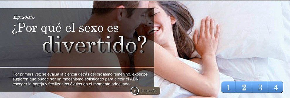 401d501af5eb19a5f4decacf07d6a28bo - ¿Porqué el sexo es Divertido? Tvrip Español