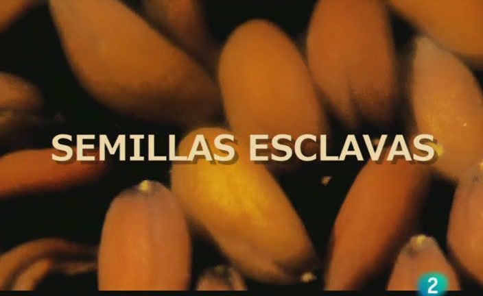 Cronicas Semillasesclavas28Transgenicos2928ReportajeTVEdel20 06 10295BDVBRip5D5Bxvid mp35D - Semillas esclavas Tvrip Español