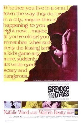 Esplendor en la hierba 104933339 large - Esplendor en la hierba Dvdrip Español (1961) Drama