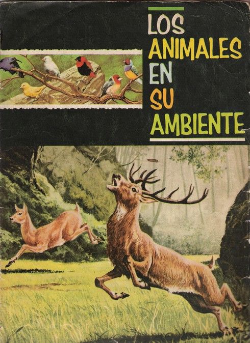 ambiente - Álbum de Cromos Los Animales En Su Ambiente (1973)