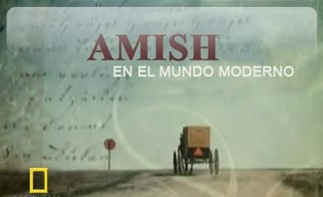 amish - Amish en el Mundo Moderno Tvrip Español