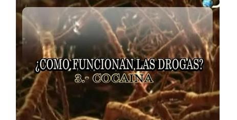 drog coc - ¿Como Funcionan las Drogas? Tvrip Español (3/3)