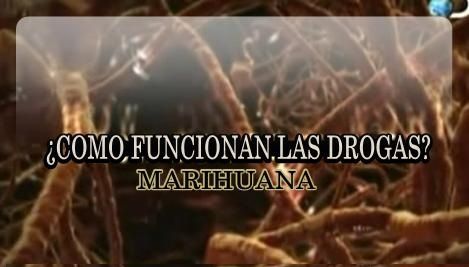 drogas1 - ¿Como Funcionan las Drogas? Tvrip Español (3/3)