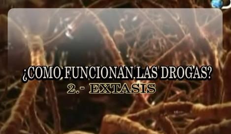 drogas2 - ¿Como Funcionan las Drogas? Tvrip Español (3/3)