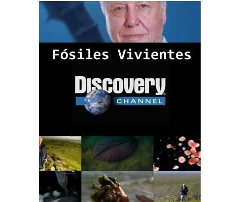 fosiles 1 - Fósiles vivientes Tvrip Español (2/2)