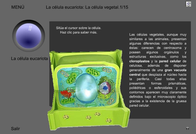 microscopico - La ventana de Hooke (Mundo microscopico) (Pc Interactivo)