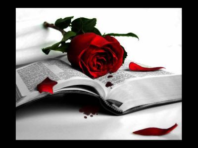 poesia - Poesia de todos los tiempos (Pc Interactivo)