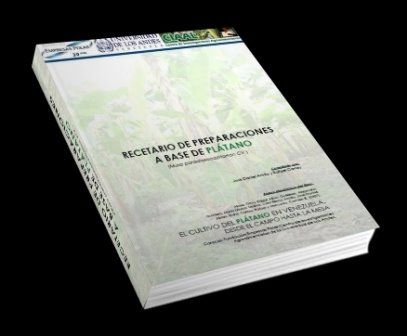 recetario2Ba2Bbase2Bde2Bplatano2 - Recetario de Preparaciones a Base de Plátano