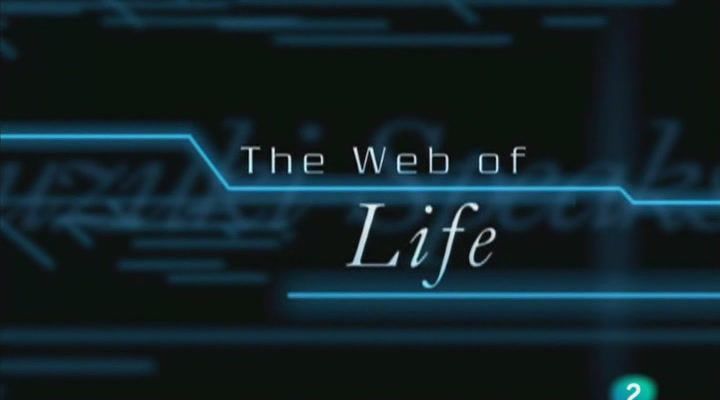 La telaraa de la vida con David Suzuki - La telaraña de la vida Tvrip Español