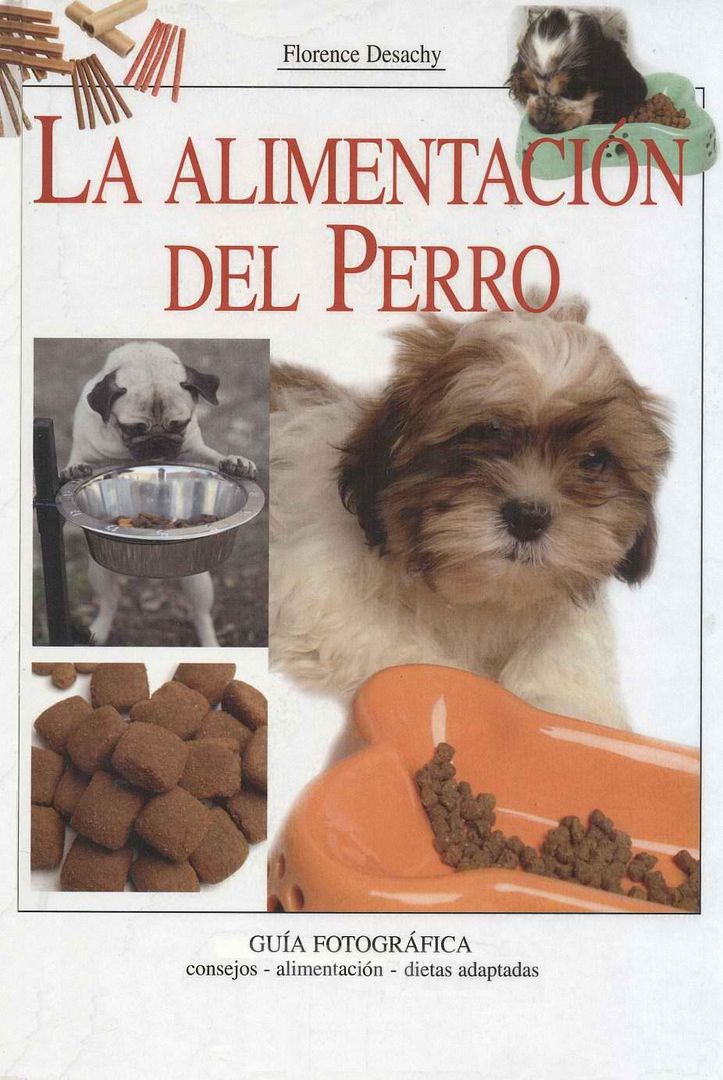 alimentacion - La Alimentacion del Perro