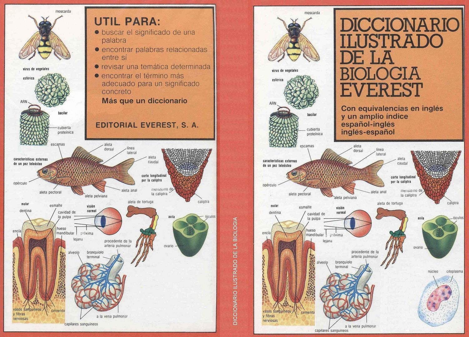 biologia - Diccionario ilustrado de biología (Everest)
