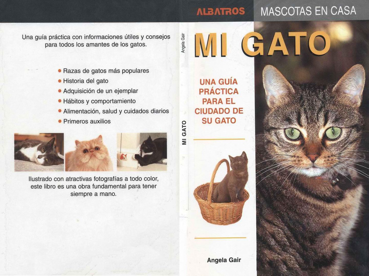 gato - Mi Gato, una Guia Practica para el Cuidado de su Gato