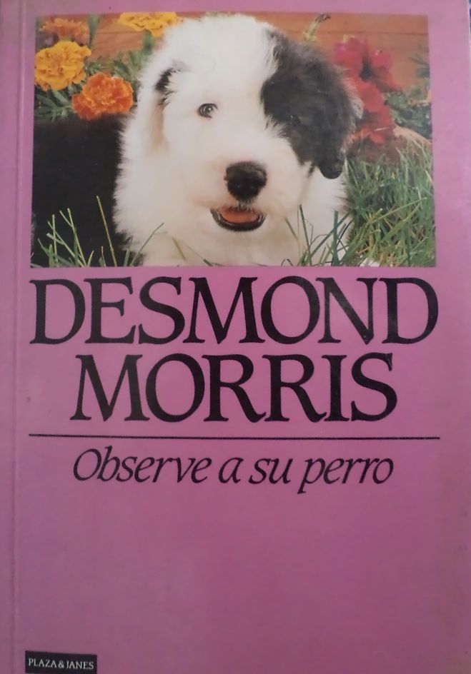 1 1171 - Observe a su perro - Desmond Morris