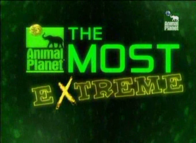 1 289 - Animal Planet al Extremo (21 Cap.)