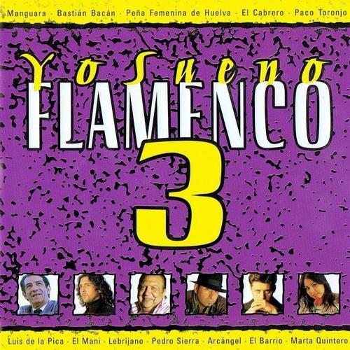 1 823 - Yo Sueño Flamenco 3