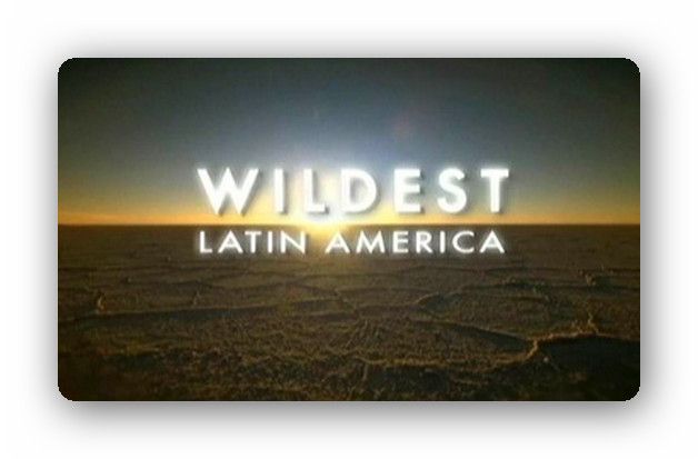 2013 010 - Latinoamerica Salvaje Tvrip Español