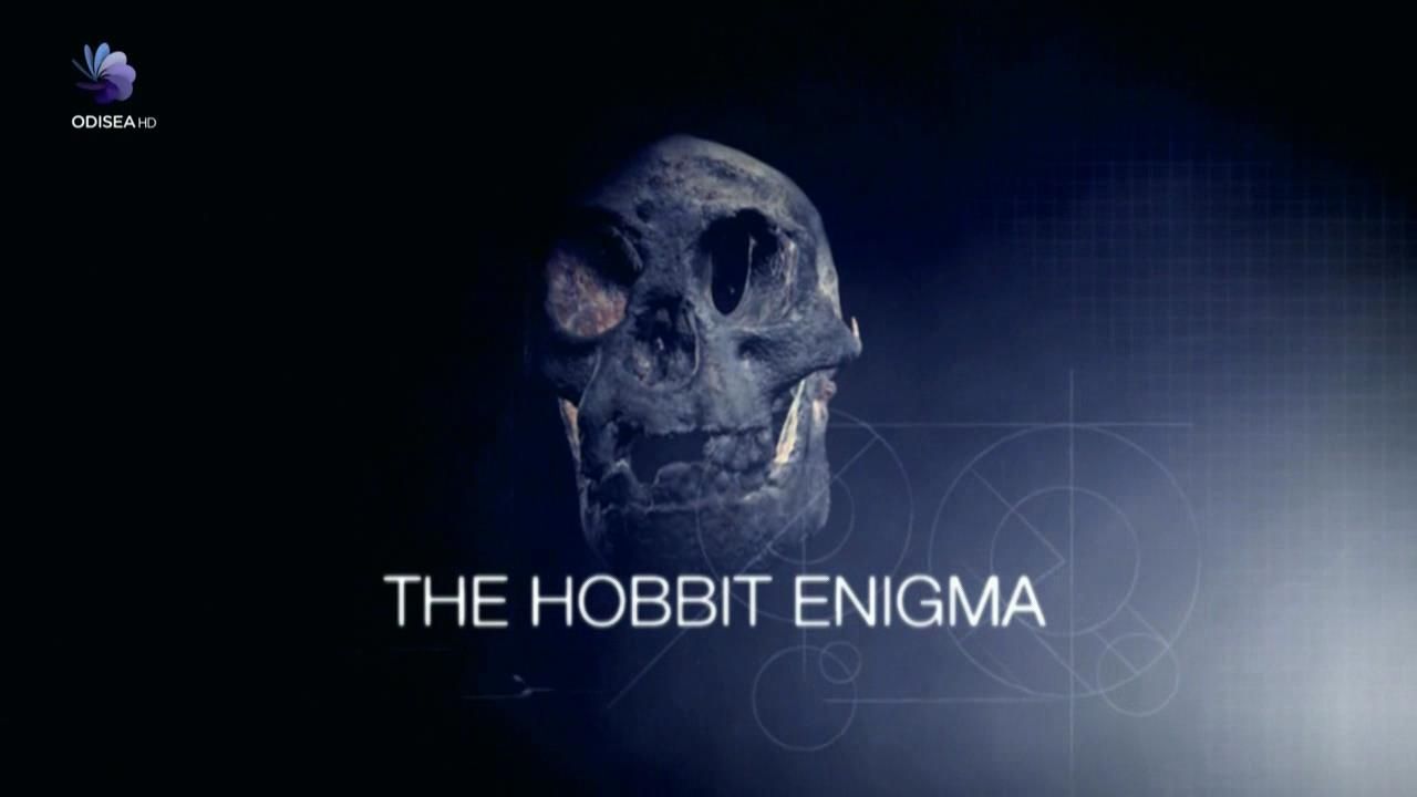 Hobbitel hombre de Flores2008 - Hobbit, el hombre de Flores Tvrip Español