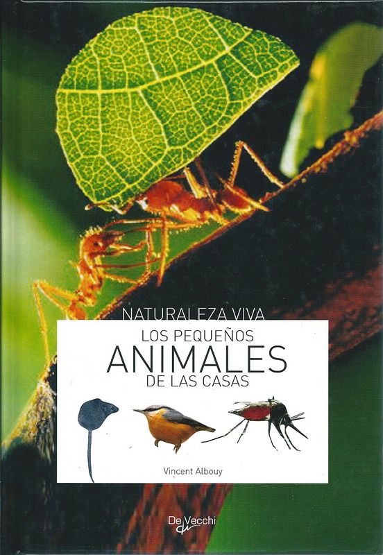 anicasas - Los Pequeños Animales de las Casas - Vincent Albouy