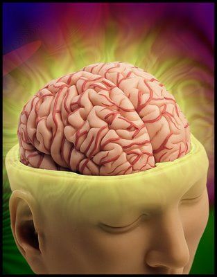 cerebroabierto internet - ¿Cómo funciona el cerebro? Tvrip Español