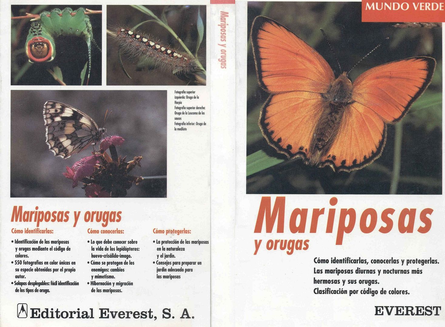 muy - Mariposas y Orugas. Como identificarlas (Ed. Everest)