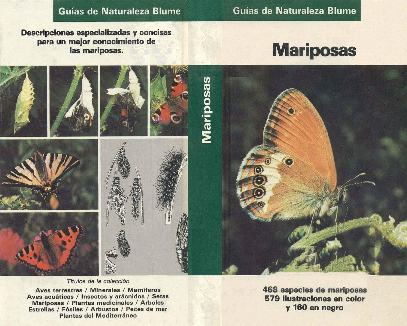 muy - Mariposas (Guias de la Naturaleza Blume)