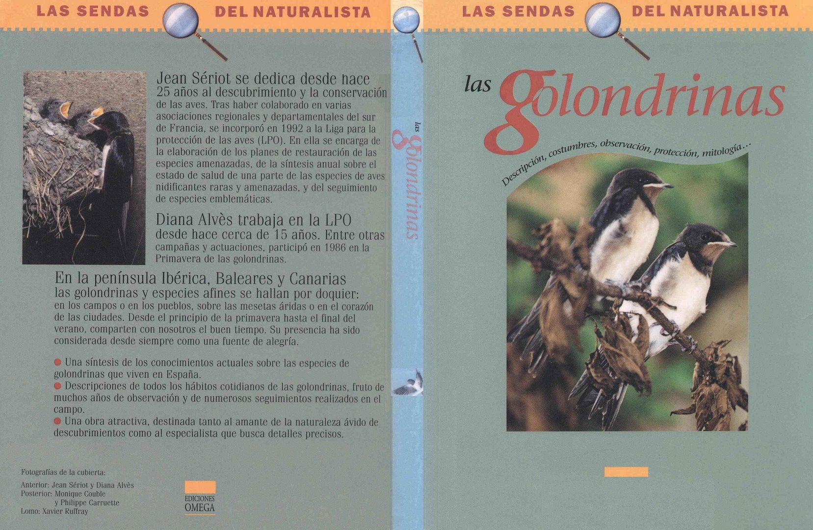 muy - Las sendas del naturalista: Las Golondrinas