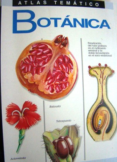 dsc04850 - Atlas Temático de Botánica
