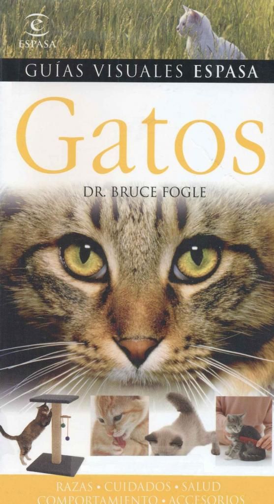 muy 1284 1 - Guia Visual de Gatos
