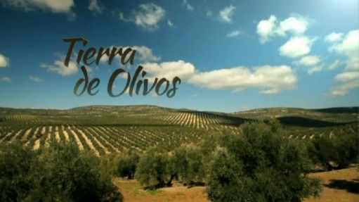 picture44782 20140106 092720 crop1sub1 - Tierra de Olivos Tvrip Español