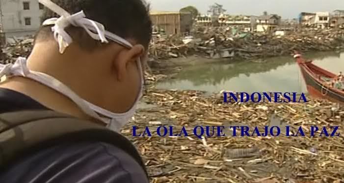 laolaquetrajolapaz - La ola que trajo la paz: Indonesia Tvrip Español