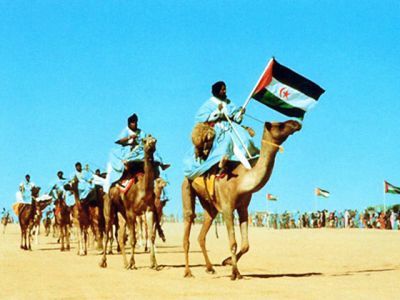 081207CongresoFrentePolisario - Barrer el desierto Dvdrip Español