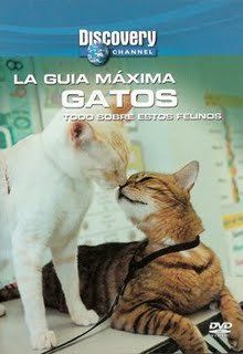 451D 4BB338FB - La Guia Maxima De Los Gatos Dvdrip Español
