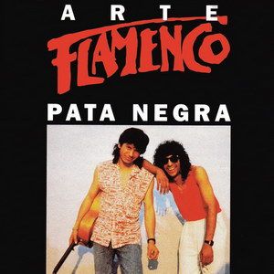 PataNegra ArteFlamencoicono - Pata Negra: Discografia