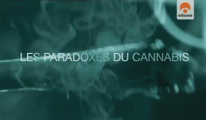 cannabis - La paradoja del cannabis Tvrip Español