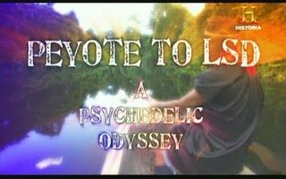 del peyote al lsd una odisea psicodelica 1 y 2 2007 documental c historia satripxvid mp3 1h29m por bizzentte - Del Peyote al LSD, una odisea psicodelica Tvrip Español