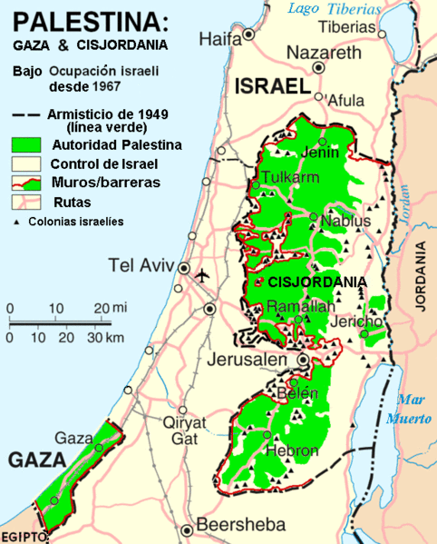 palestina - Palestina Una historia de resistencia Dvdrip Español