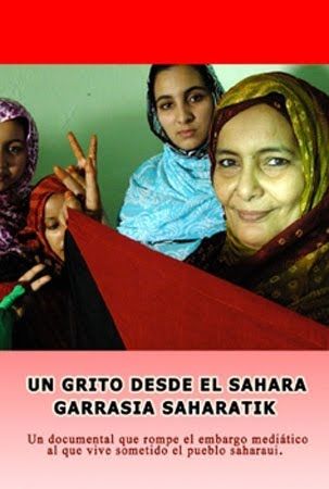 un grito desde el sahara - Un grito desde el Sahara Dvdrip Español