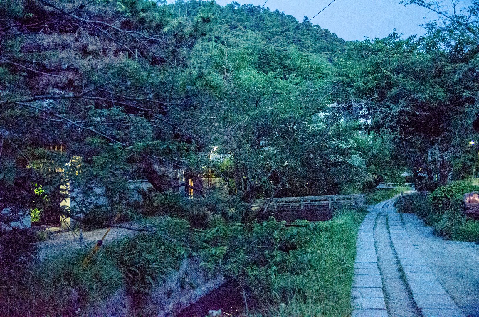 Kyoto-239.jpg