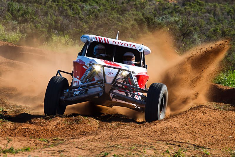 IMAGE: http://i1127.photobucket.com/albums/l628/aj4wd/Baroota%20Flinders%20450/IMG_2275.jpg