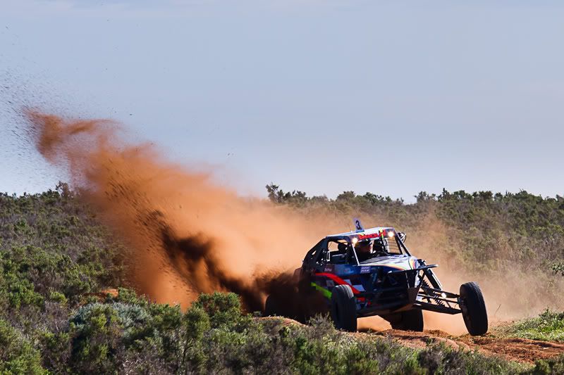 IMAGE: http://i1127.photobucket.com/albums/l628/aj4wd/Baroota%20Flinders%20450/IMG_2313.jpg