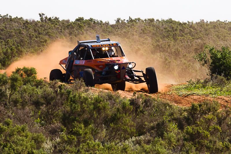 IMAGE: http://i1127.photobucket.com/albums/l628/aj4wd/Baroota%20Flinders%20450/IMG_2392.jpg