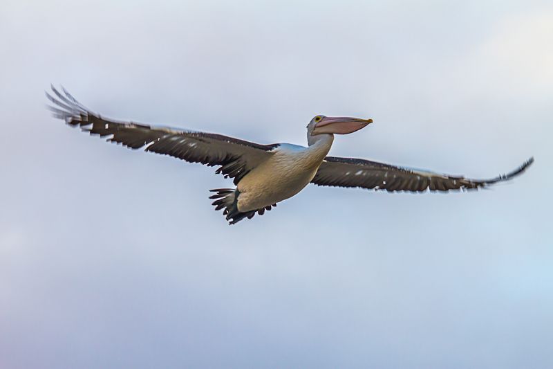 IMAGE: http://i1127.photobucket.com/albums/l628/aj4wd/GENERAL/7D010778.jpg