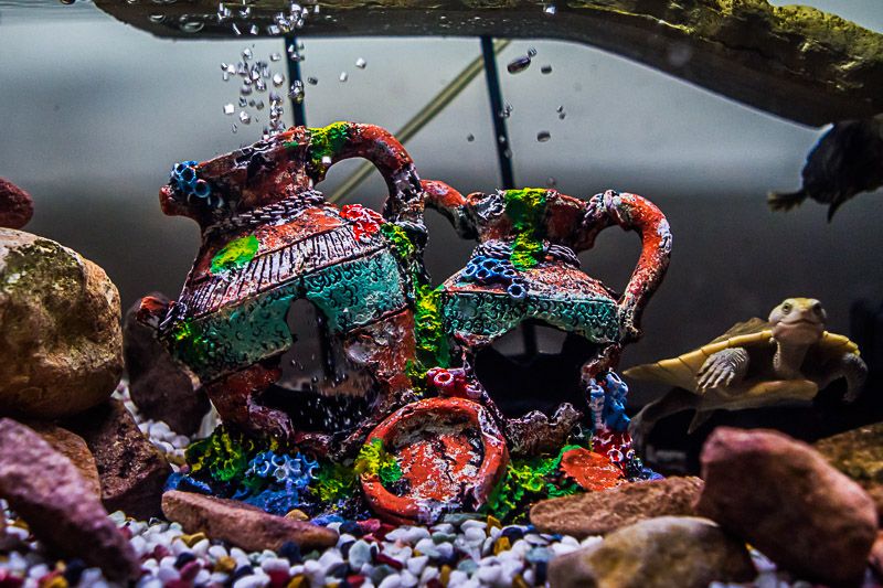 IMAGE: http://i1127.photobucket.com/albums/l628/aj4wd/GENERAL/7D014724.jpg